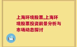 上海环境股票,上海环境股票投资前景分析与市场动态探讨