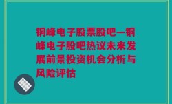 铜峰电子股票股吧—铜峰电子股吧热议未来发展前景投资机会分析与风险评估