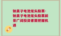 钠离子电池龙头股票-钠离子电池龙头股票前景广阔投资者需把握机遇