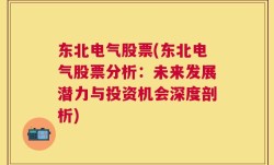 东北电气股票(东北电气股票分析：未来发展潜力与投资机会深度剖析)