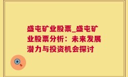 盛屯矿业股票_盛屯矿业股票分析：未来发展潜力与投资机会探讨