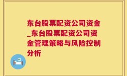 东台股票配资公司资金_东台股票配资公司资金管理策略与风险控制分析