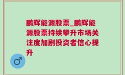 鹏辉能源股票_鹏辉能源股票持续攀升市场关注度加剧投资者信心提升