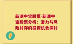 新湖中宝股票-新湖中宝股票分析：潜力与风险并存的投资机会探讨