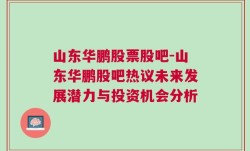 山东华鹏股票股吧-山东华鹏股吧热议未来发展潜力与投资机会分析