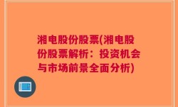 湘电股份股票(湘电股份股票解析：投资机会与市场前景全面分析)