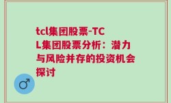 tcl集团股票-TCL集团股票分析：潜力与风险并存的投资机会探讨