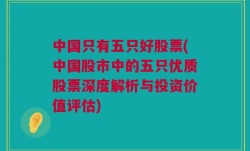 中国只有五只好股票(中国股市中的五只优质股票深度解析与投资价值评估)