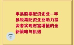 丰县股票配资企业—丰县股票配资企业助力投资者实现财富增值的全新策略与机遇