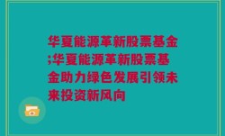 华夏能源革新股票基金;华夏能源革新股票基金助力绿色发展引领未来投资新风向