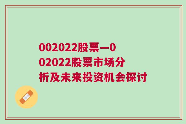 002022股票—002022股票市场分析及未来投资机会探讨