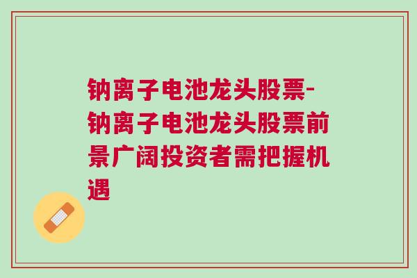 钠离子电池龙头股票-钠离子电池龙头股票前景广阔投资者需把握机遇